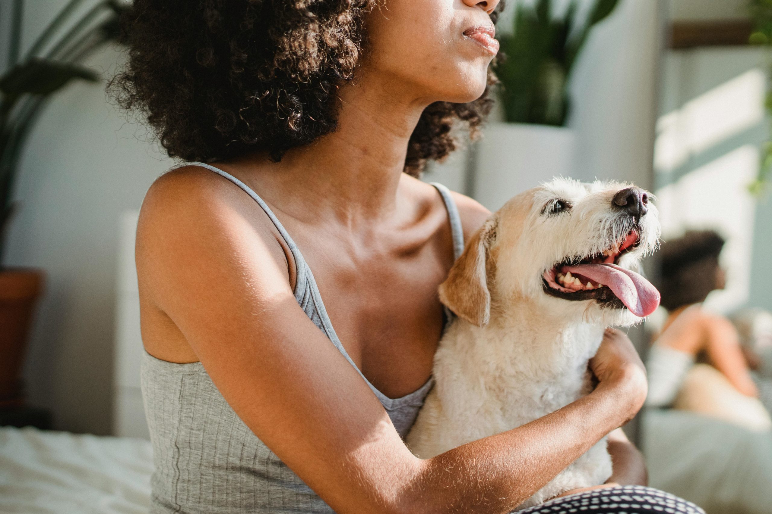 Ernte Schwarze Frau, Die Hund Auf Bett Umarmt