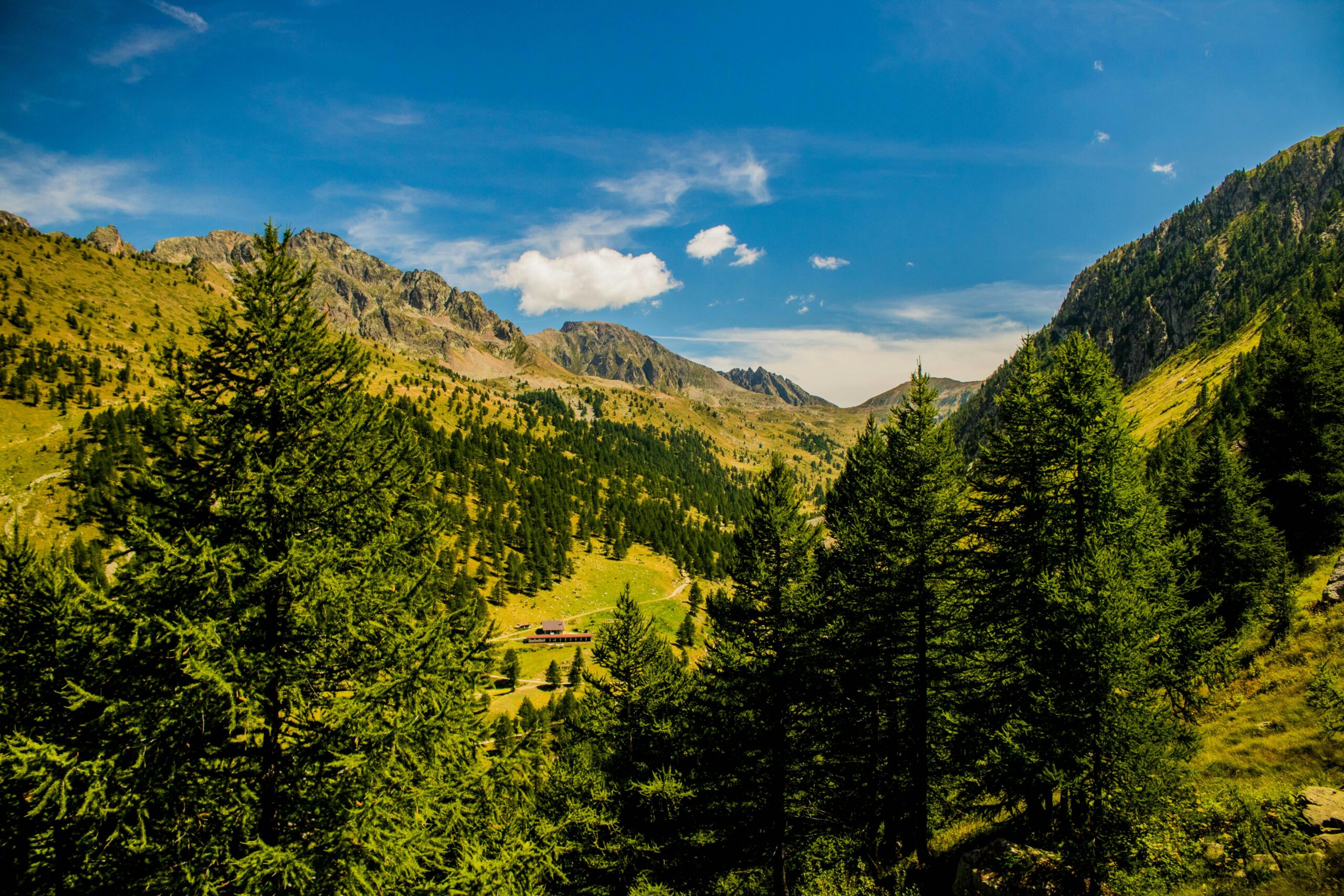 High Angle Shot Von Hohen Grünen Bäumen Auf Berghängen Unter Blauem Himmel