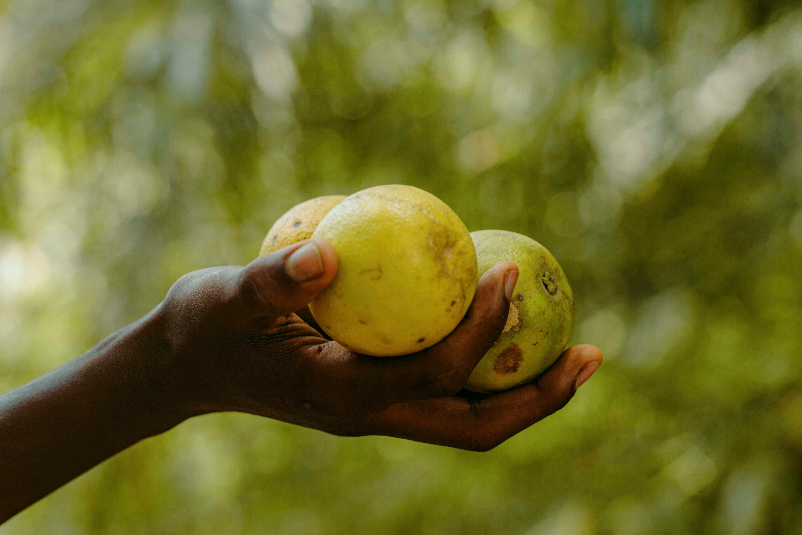 Kostenloses Stock Foto zu afrika, afrikanische hände, afrikanische kultur