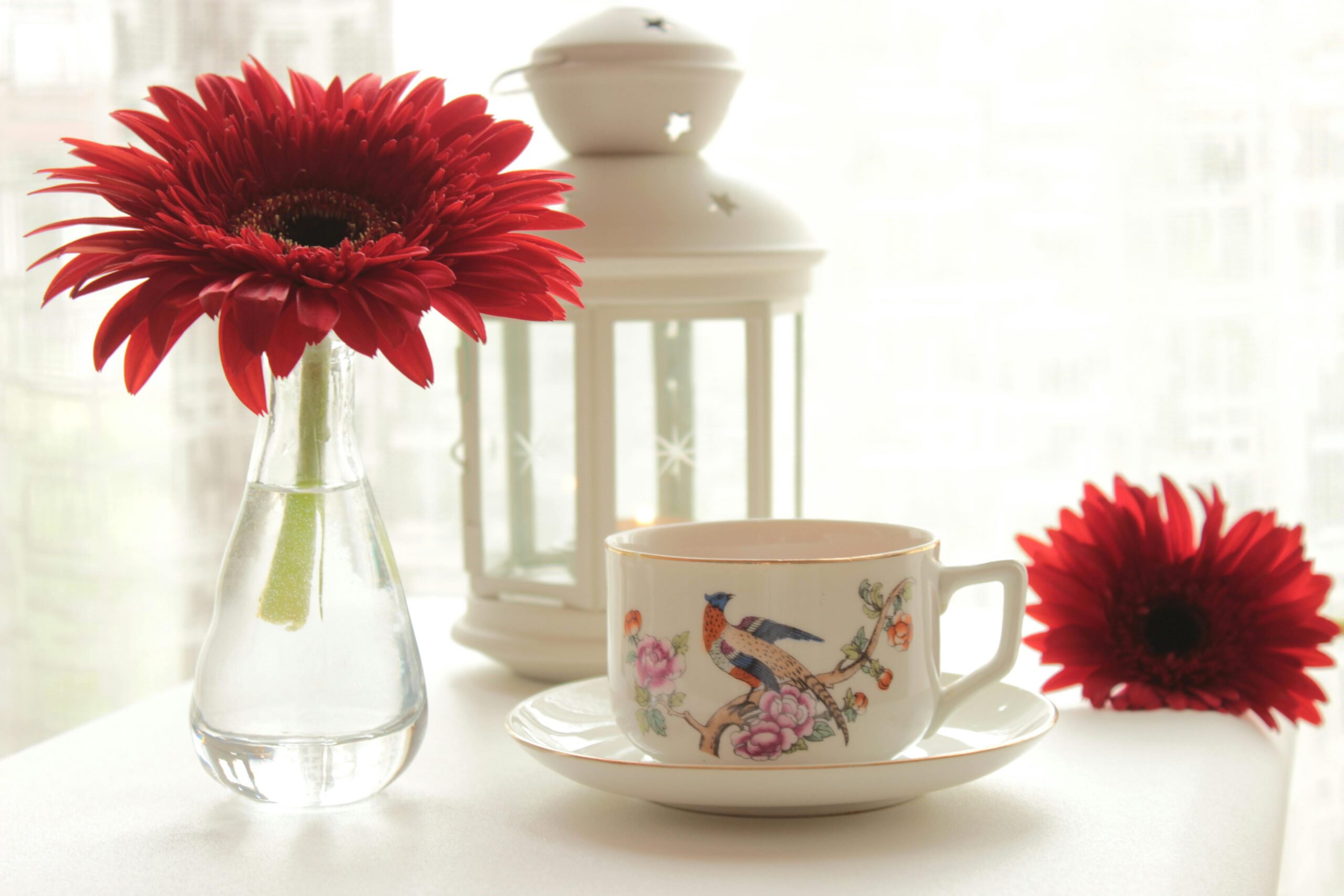 Ein ruhiges Tee-Arrangement für den Innenbereich mit einer Tasse mit Blumenmuster, roten Gerbera-Blüten und einer dekorativen Laterne.